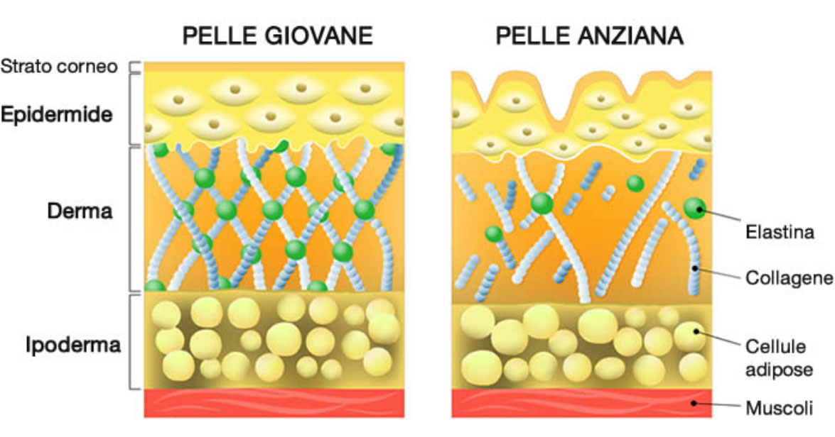 Tavola Compressione Addominale Post-Operatoria - In Schiuma Morbida, Antirughe, 33x30 Cm - Foto 10